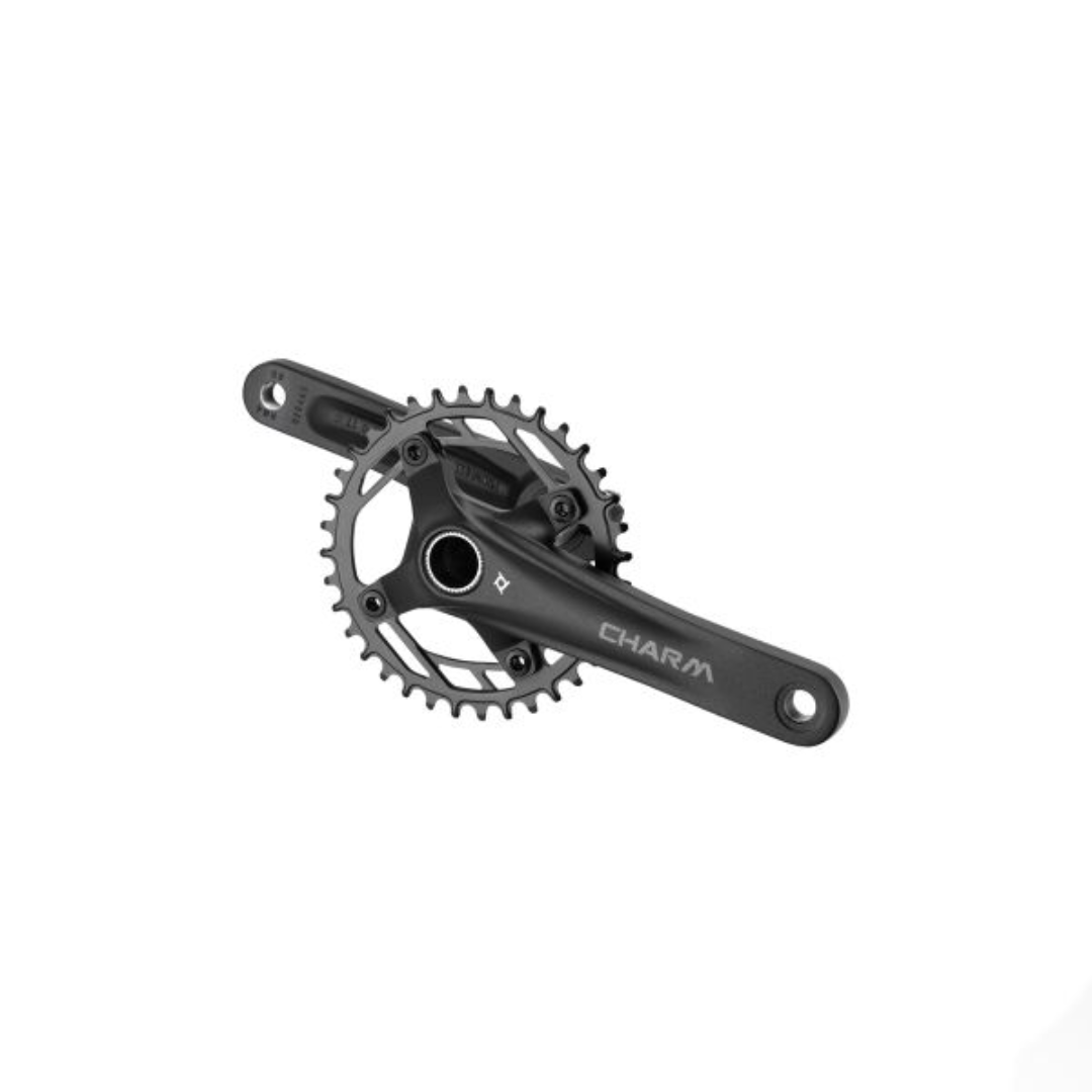 GT CHAIN RING 34T 2020 (CHAINRING ONLY)