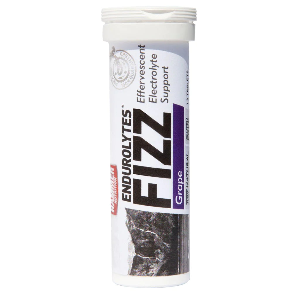 ENDUROLYTES FIZZ (13 TABLETS)