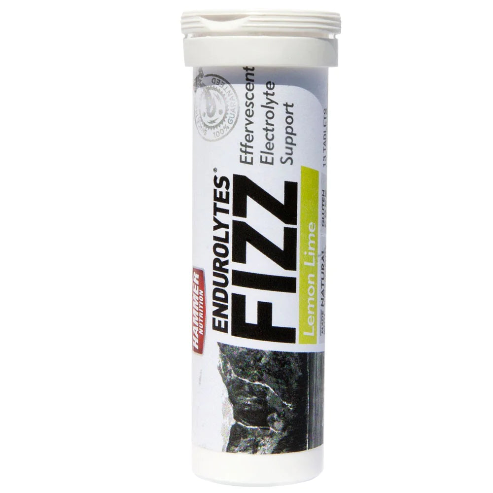 ENDUROLYTES FIZZ (13 TABLETS)