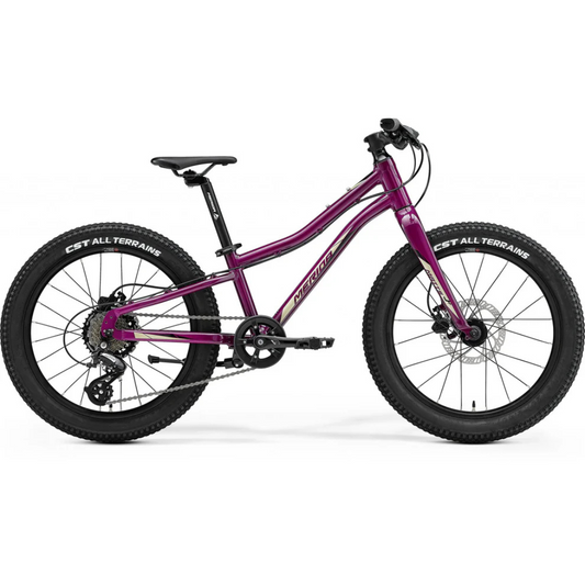 Merida Matts J.20+